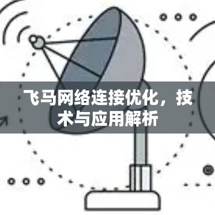 飞马网络连接优化，技术与应用解析