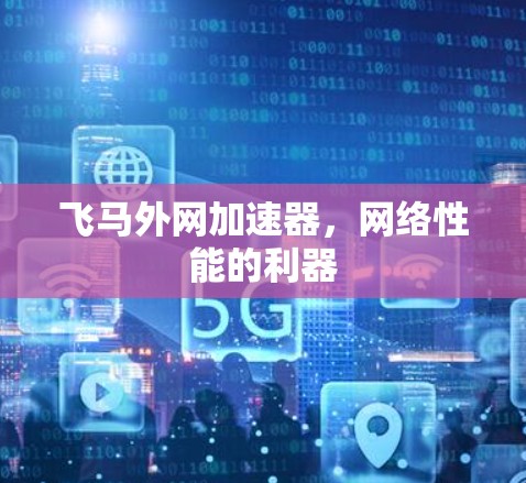 飞马外网加速器，网络性能的利器