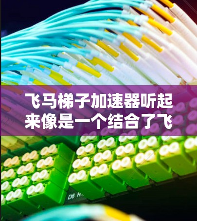 飞马梯子加速器听起来像是一个结合了飞马和梯子的概念，可能是指一种结合飞行器和梯子结构的加速器。然而，这个名称在现有的科技领域中并不常见，因此难以确定其具体含义