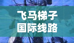 飞马梯子国际线路可能指的是一种用于跨境数据传输的网络或通信线路，具体含义取决于上下文。以下是一些可能的解释