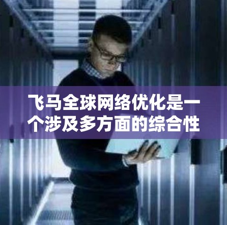 飞马全球网络优化是一个涉及多方面的综合性工程，旨在提升国际网络的性能和稳定性。以下是对这一项目的详细分析和建议
