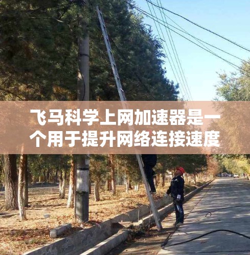 飞马科学上网加速器是一个用于提升网络连接速度和效率的工具。以下是对其的详细介绍