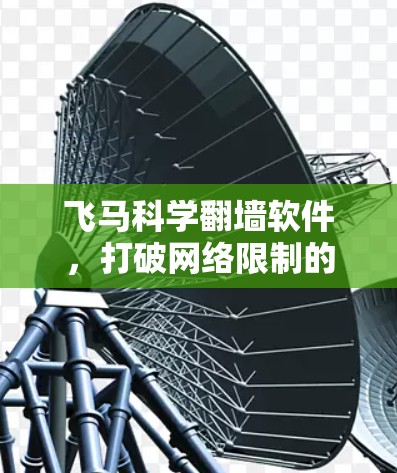 飞马科学翻墙软件，打破网络限制的创新方案
