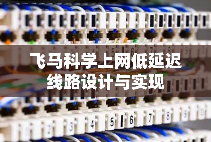 飞马科学上网低延迟线路设计与实现