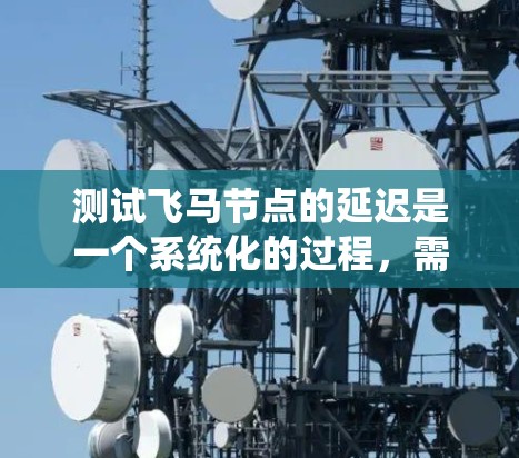 测试飞马节点的延迟是一个系统化的过程，需要综合考虑多个因素。以下是一个有条理的步骤指南，帮助您有效地进行延迟测试