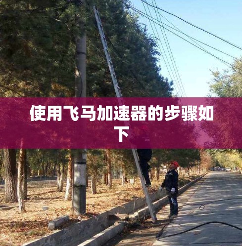 使用飞马加速器的步骤如下