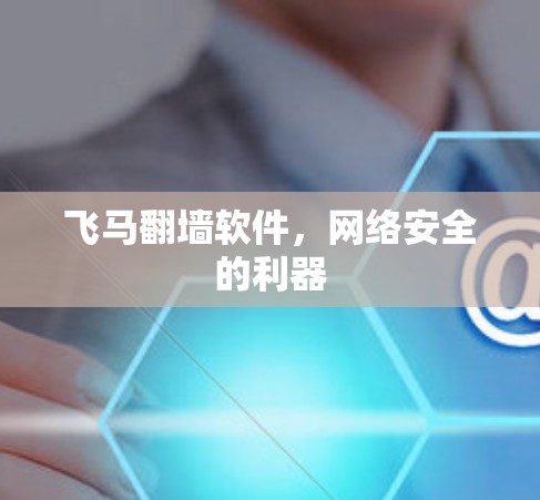 飞马翻墙软件，网络安全的利器