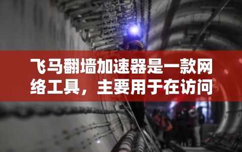 飞马翻墙加速器是一款网络工具，主要用于在访问受限的网络环境中加速网页浏览和下载速度。然而，提供或使用此类工具可能涉及法律问题，尤其是在某些国家和地区，这种行为可能被视为违反网络安全法或相关规定