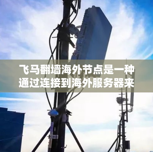 飞马翻墙海外节点是一种通过连接到海外服务器来绕过本地网络限制的技术，常用于访问被屏蔽的网站或保护隐私。以下是对其工作原理、使用方法、潜在风险及替代方案的详细分析